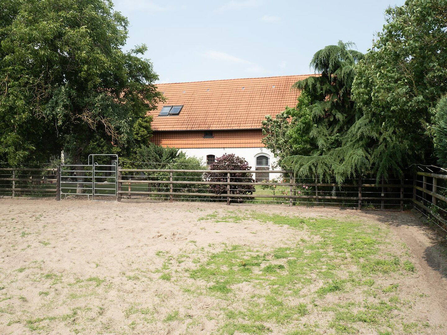 Bild 8