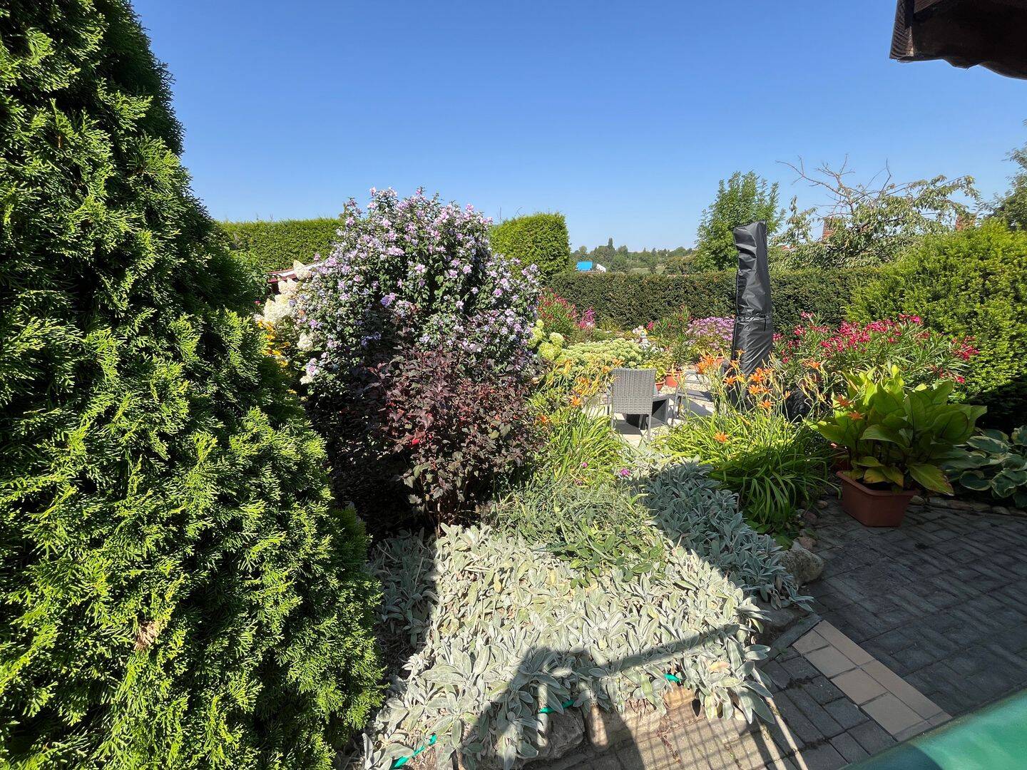 Bild 6