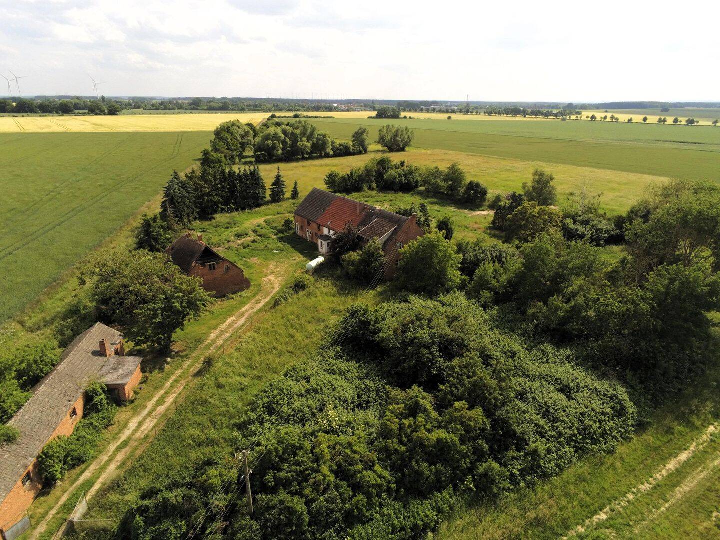 Bild 11
