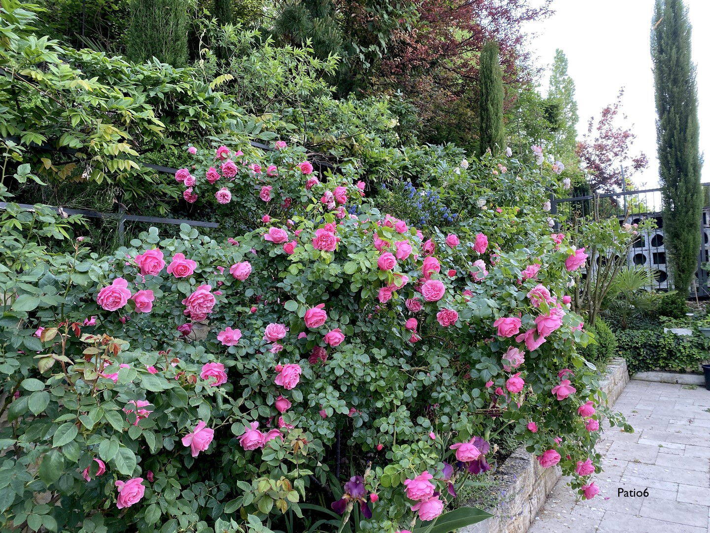 Bild 11
