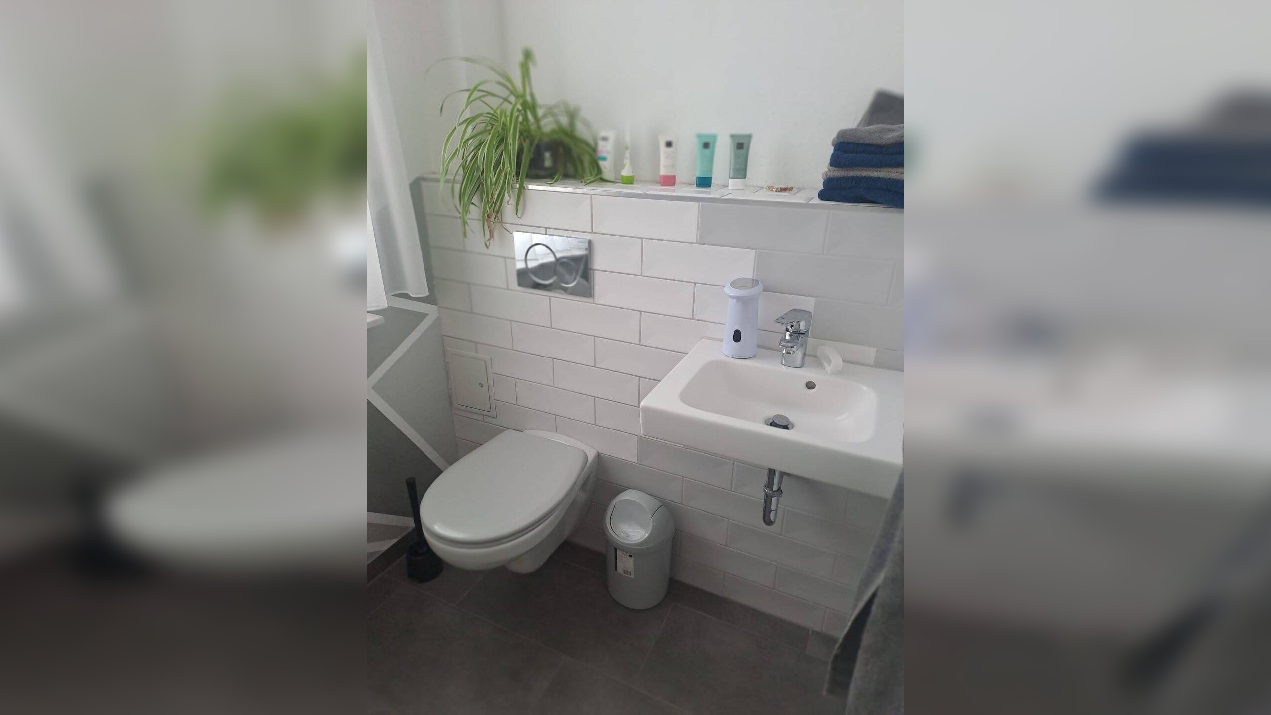 Bild 12