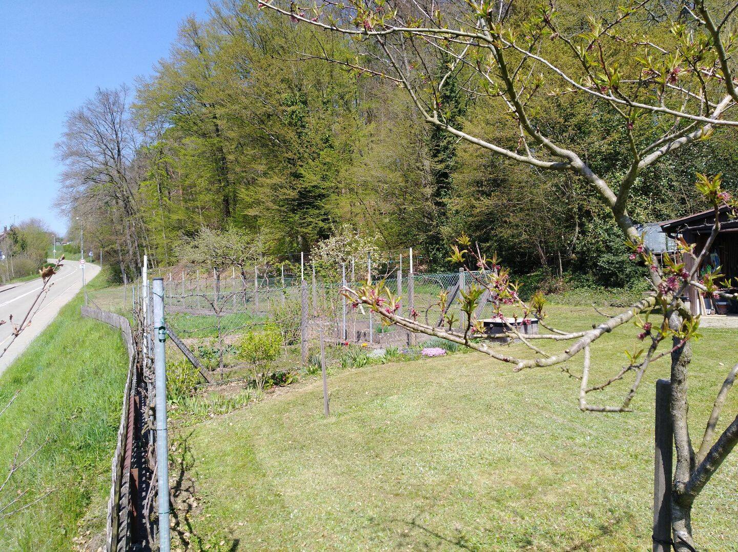 Bild 5