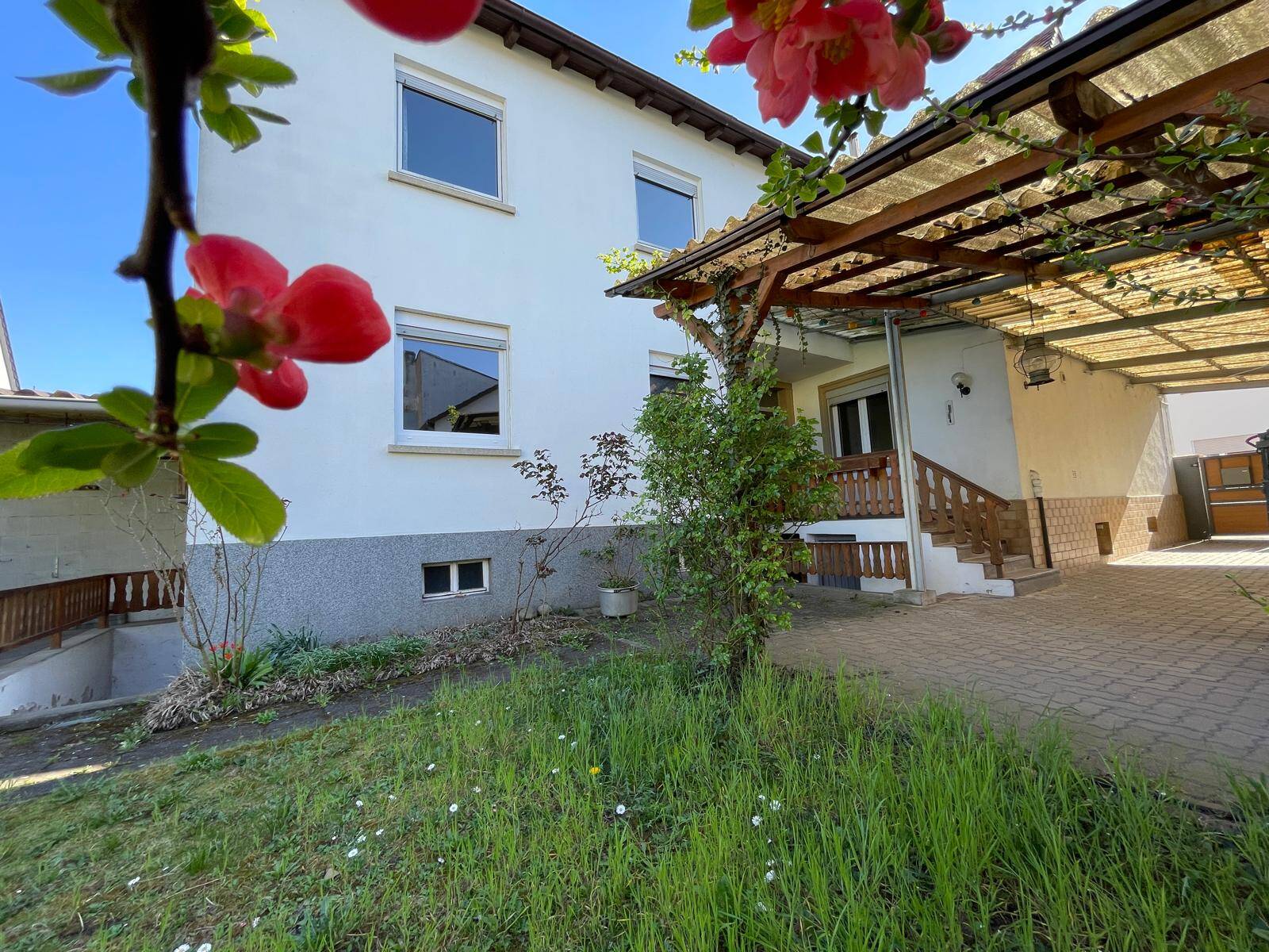 Bild 11