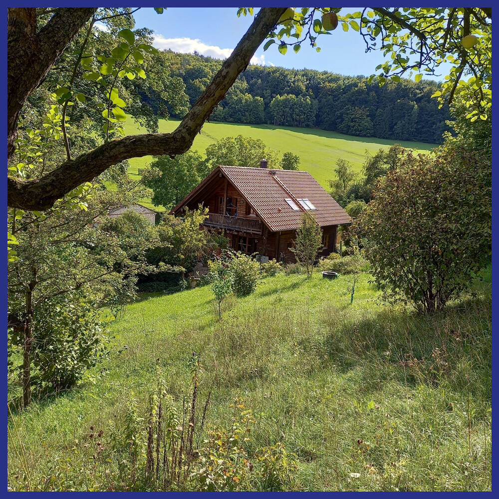 Bild 7