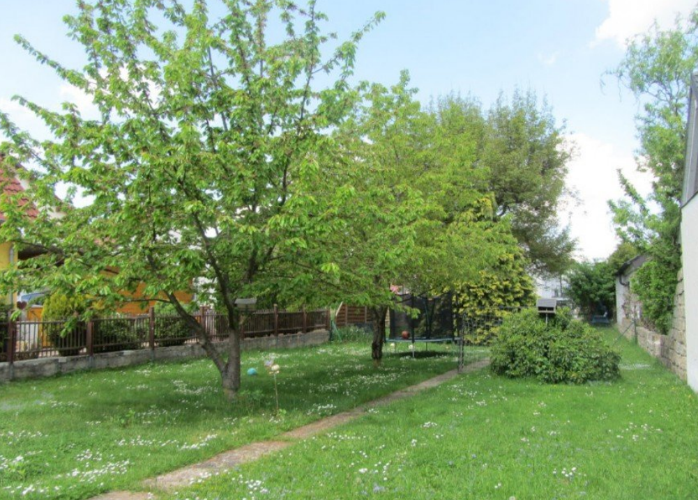 image-67761244
