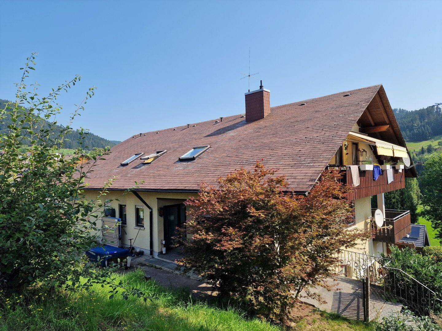 Bild 5