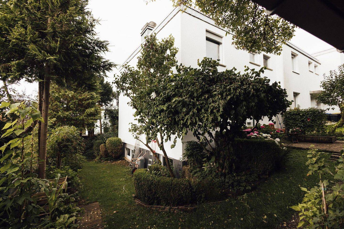 image-67762162
