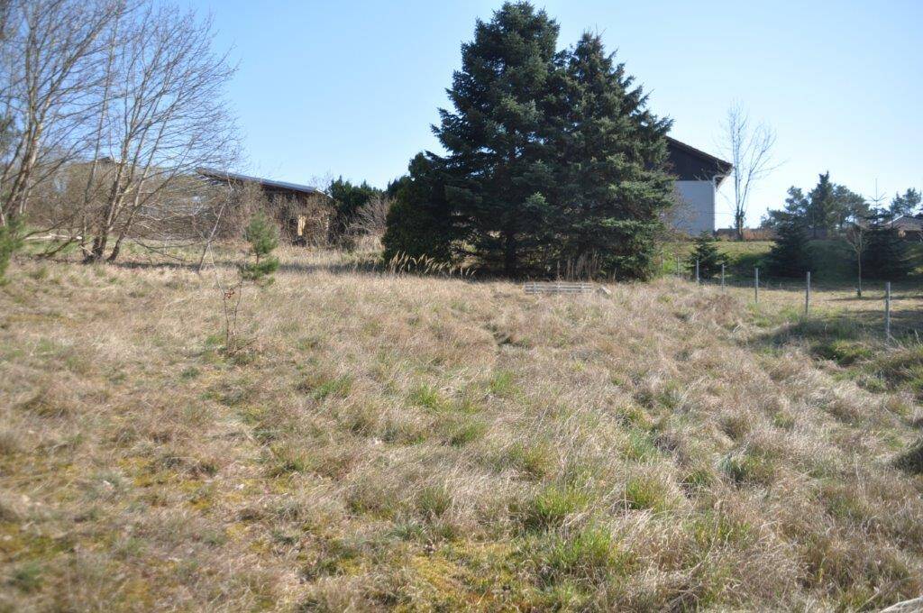 Bild 15