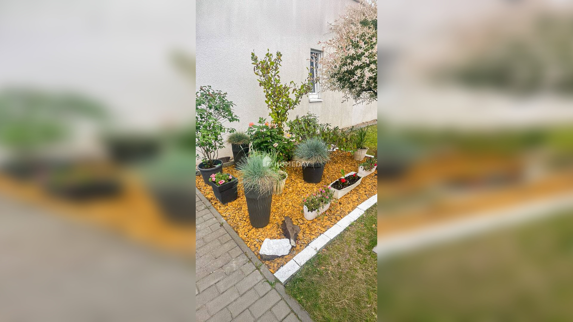 Bild 10