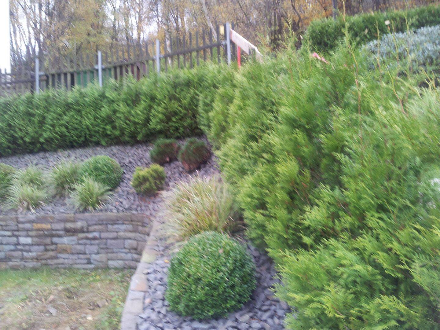 Bild 5