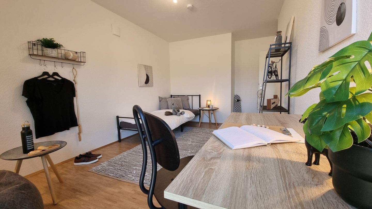 Bild 8