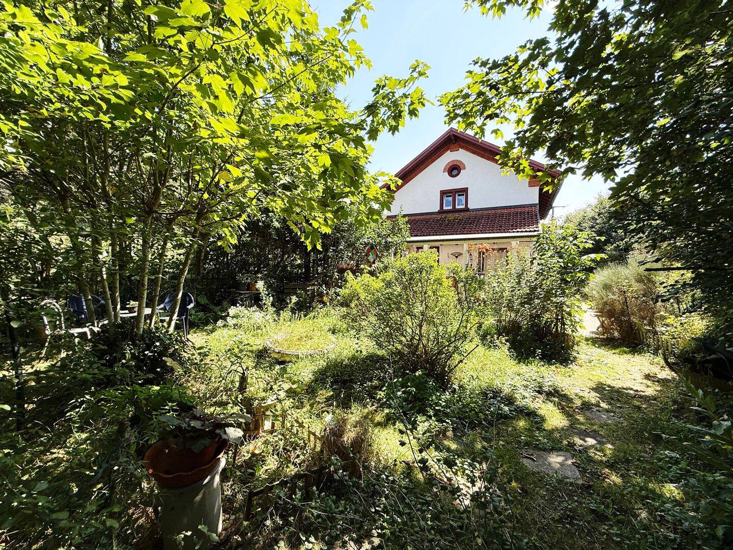 Bild 5
