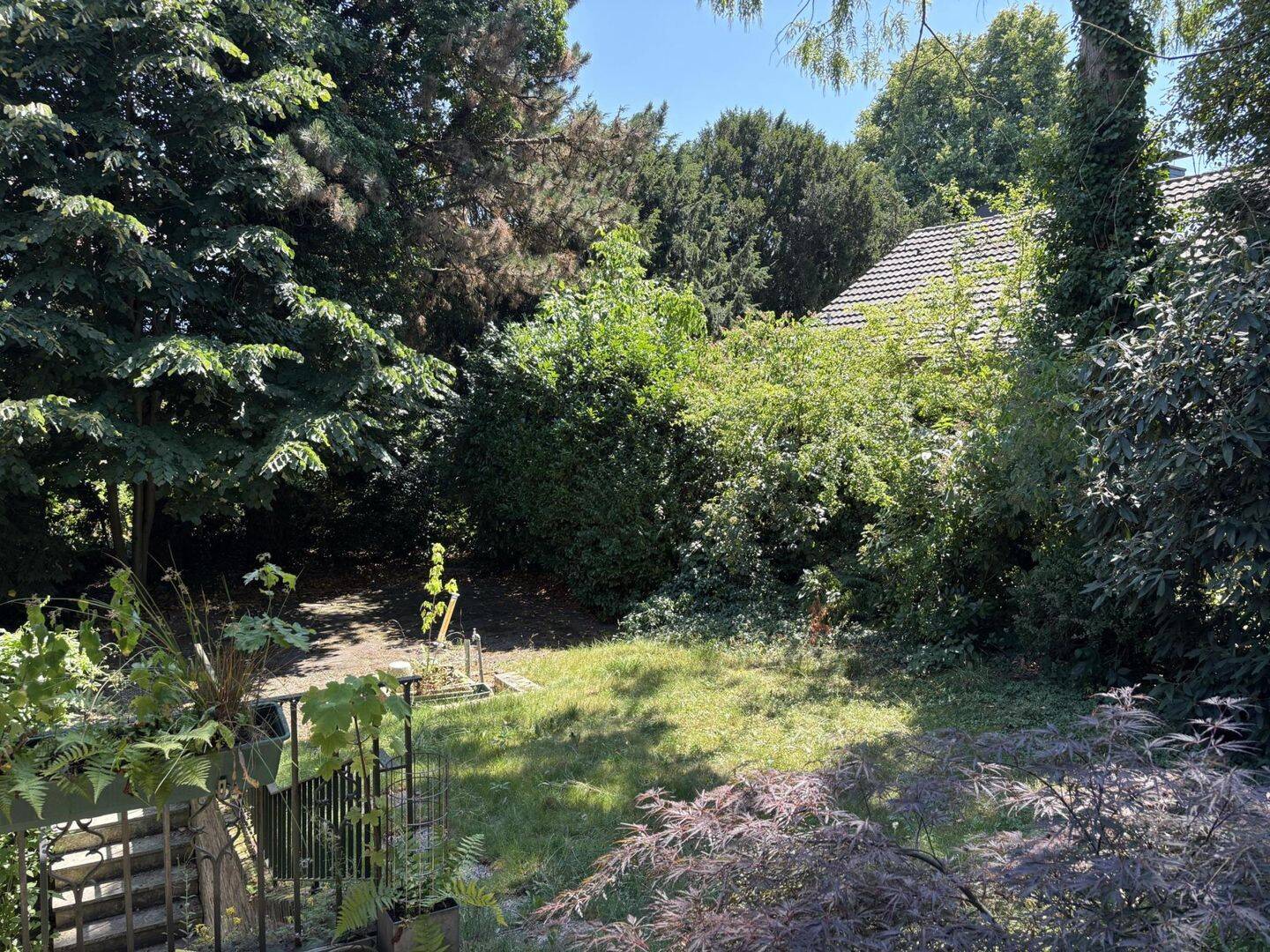Bild 6