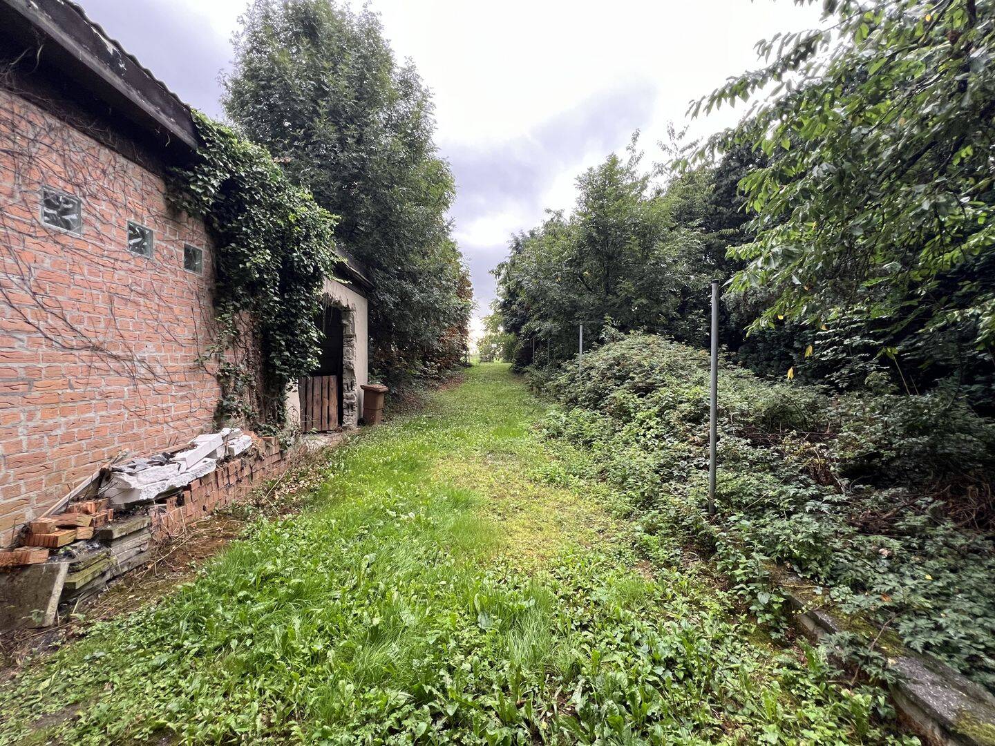 Bild 10