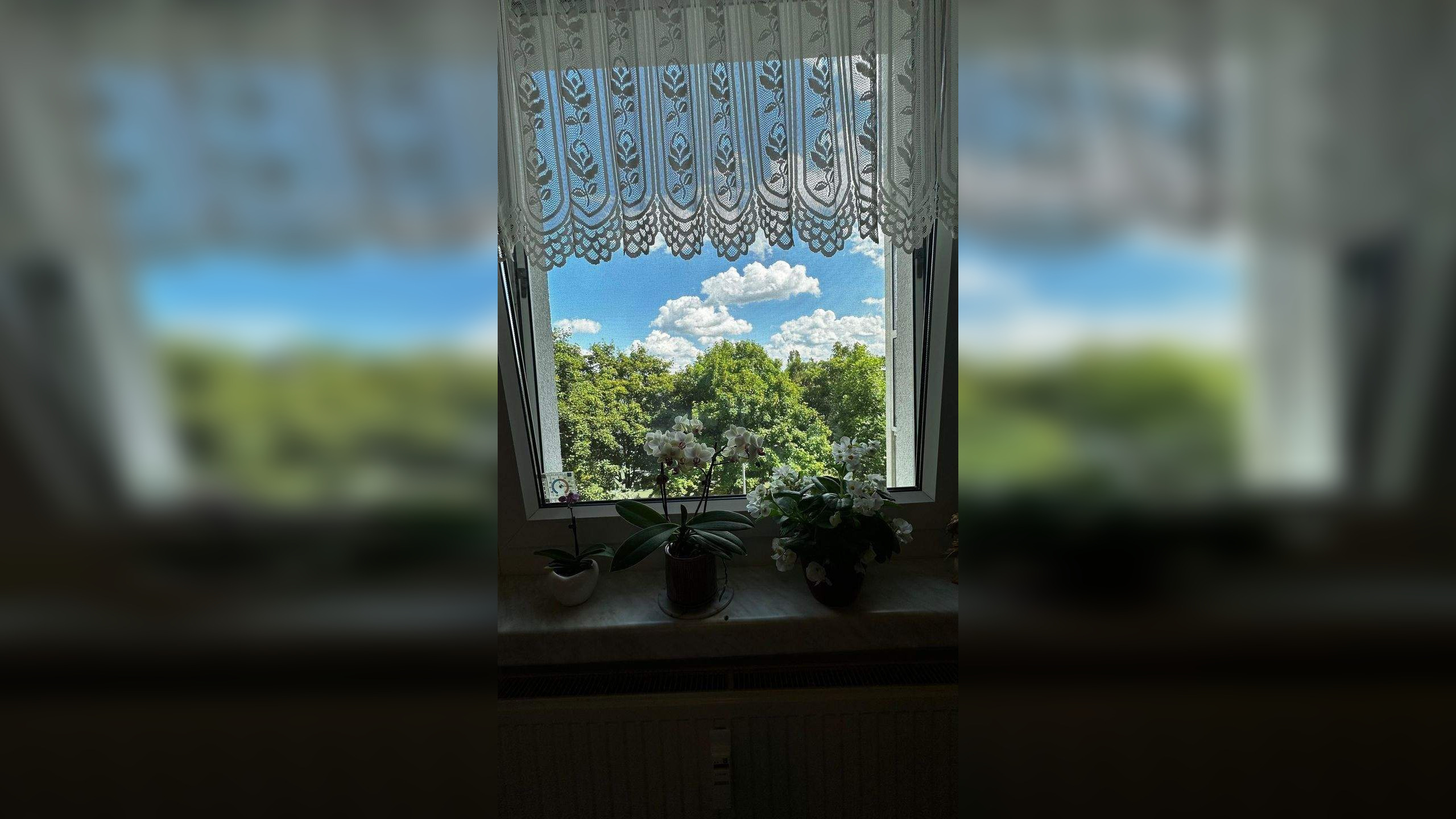 image-67779420