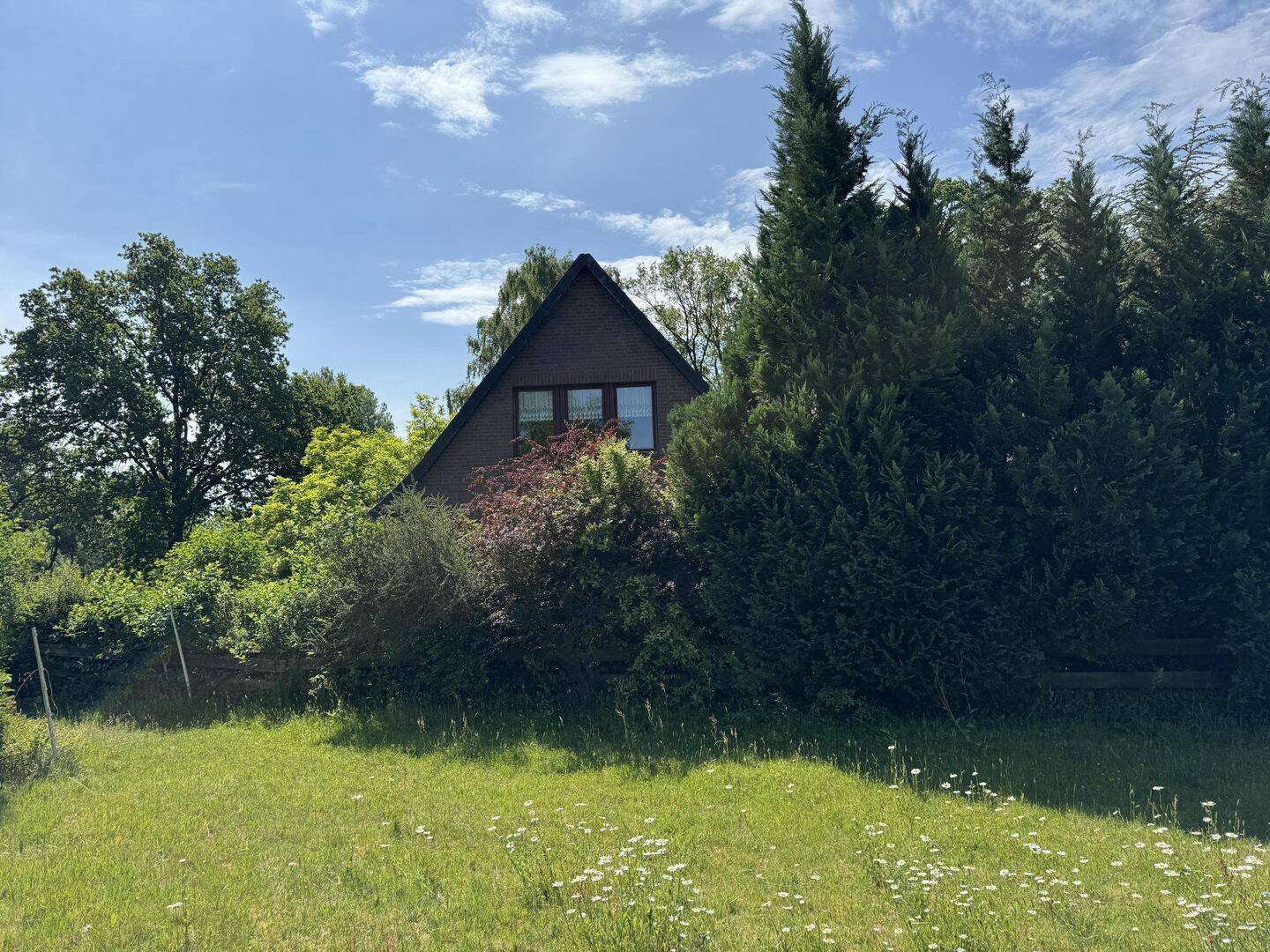 Bild 17