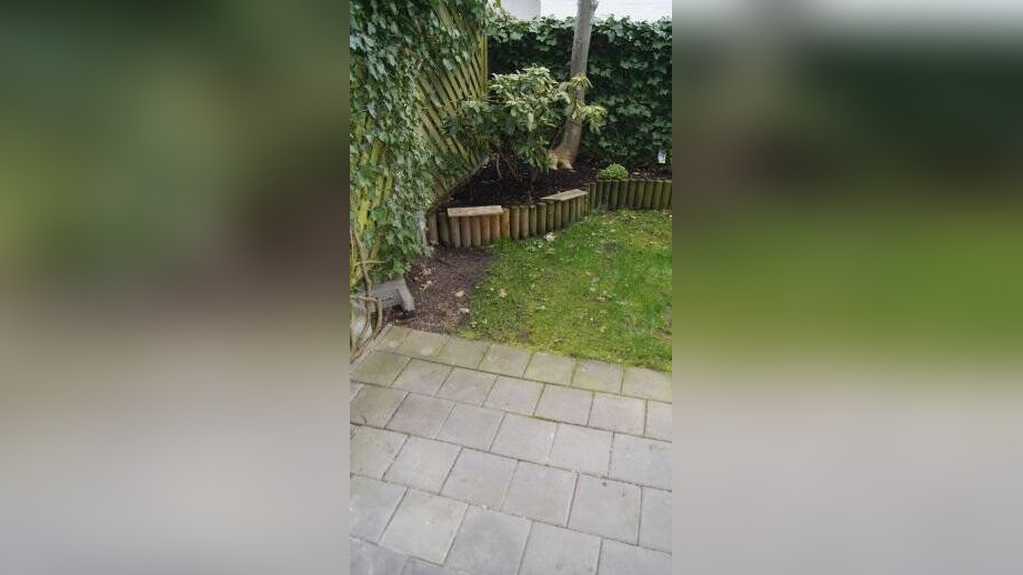 Bild 3
