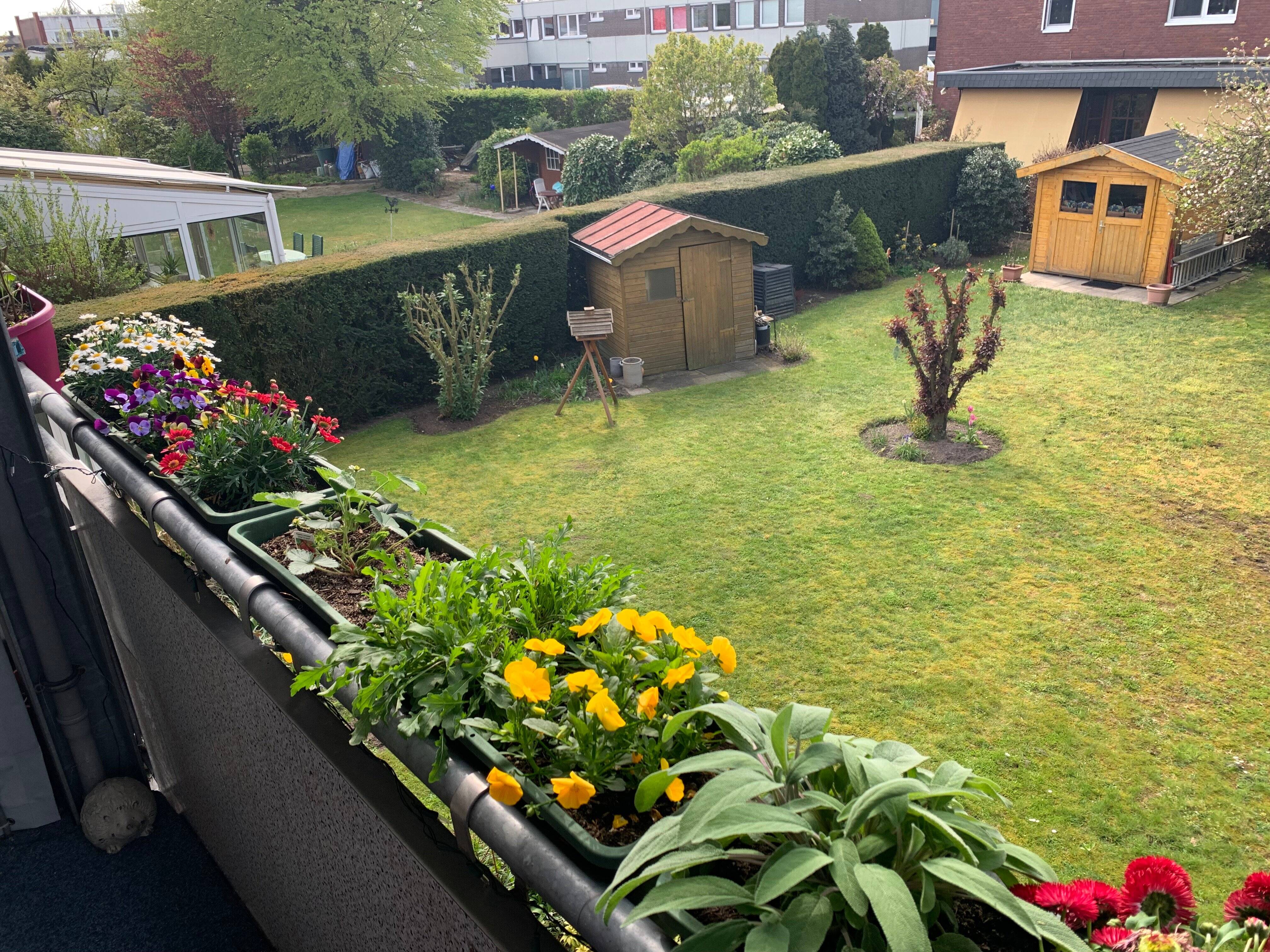 Bild 6