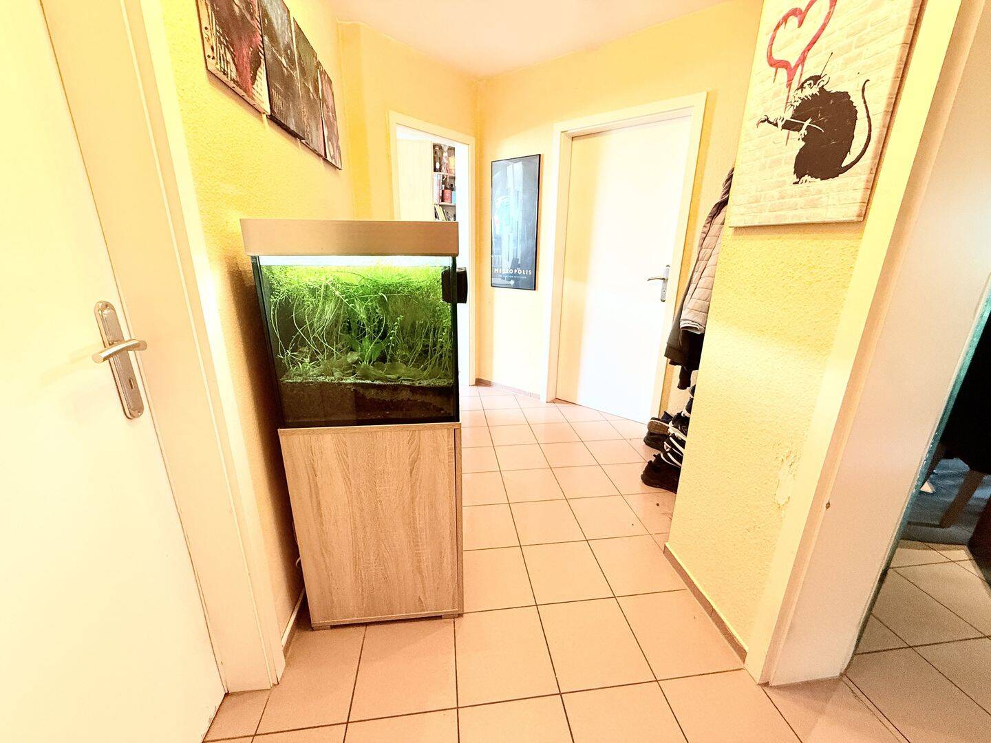 Bild 9