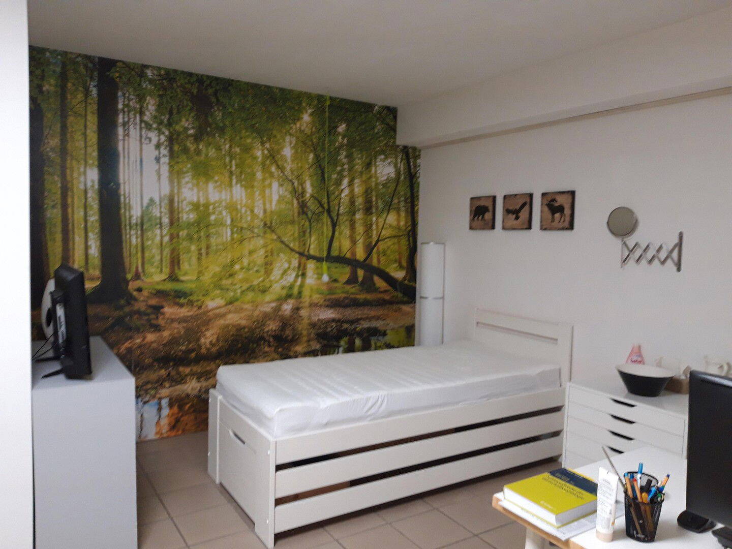 Bild 8