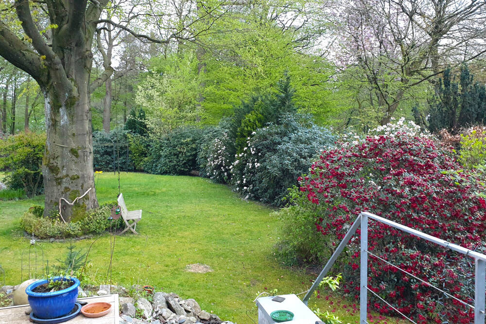 Bild 7