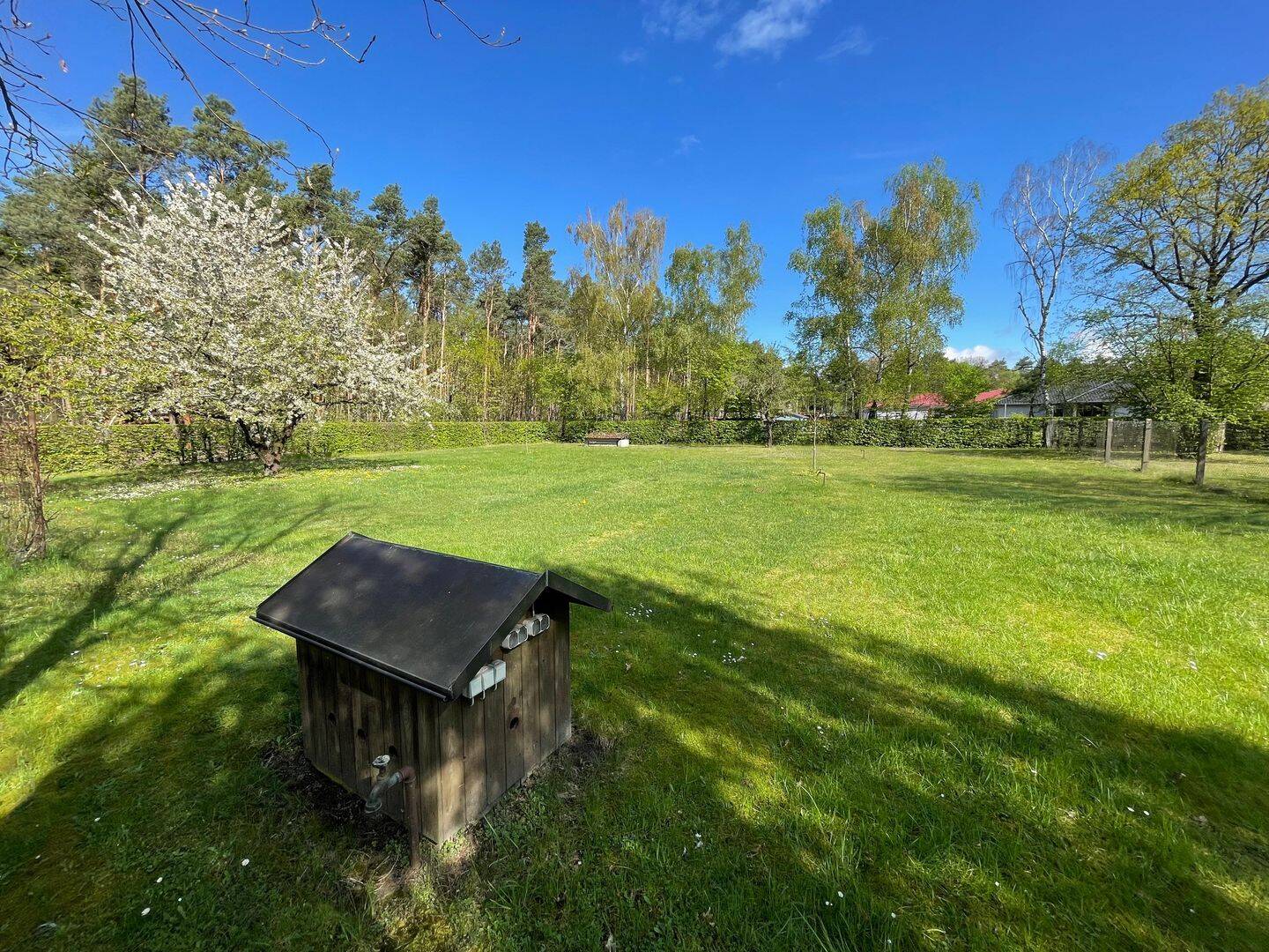 Bild 15