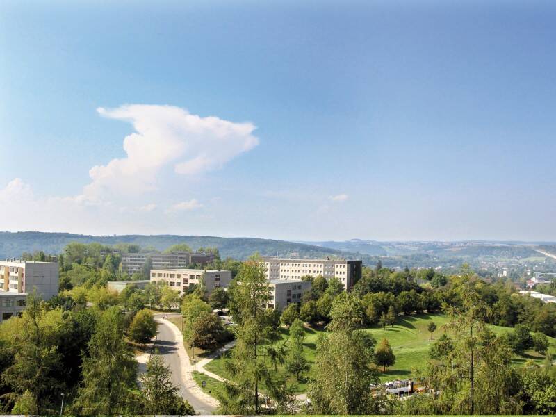 Bild 16