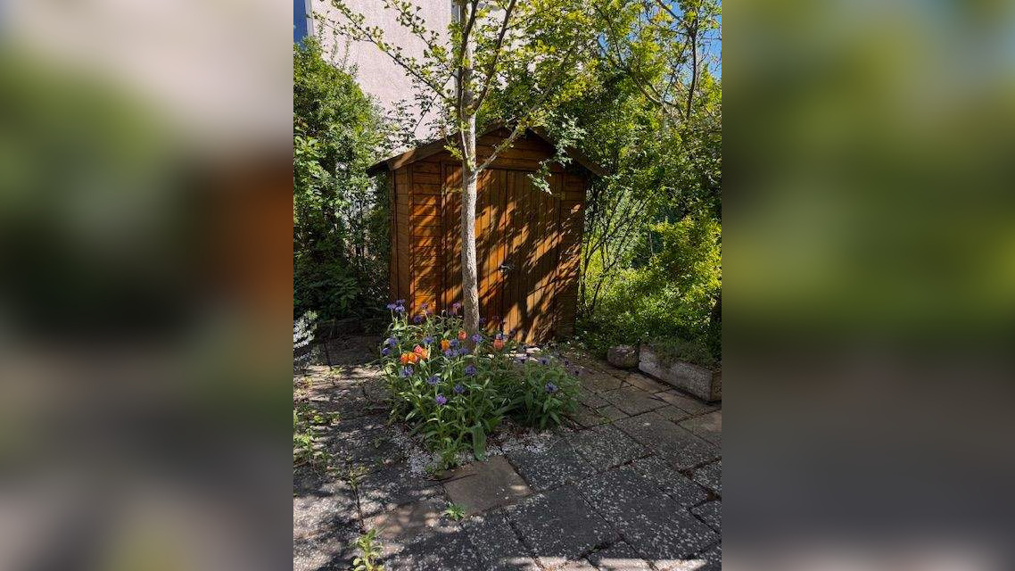 Bild 6