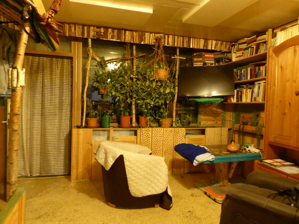 Bild 4