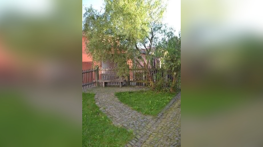 Bild 7