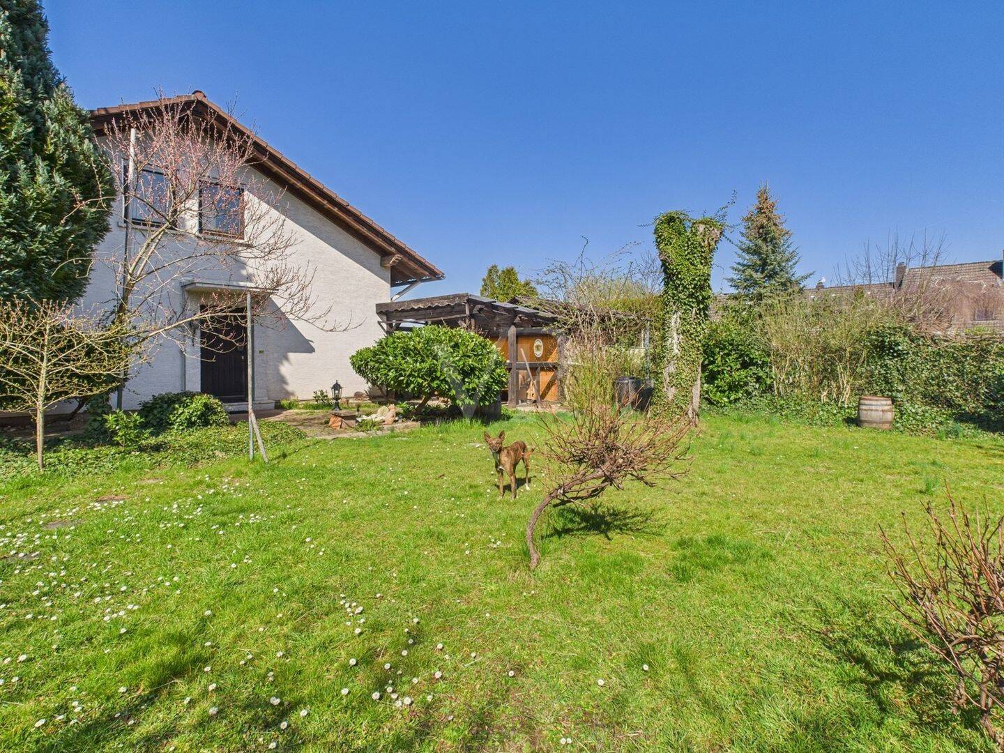 Bild 10