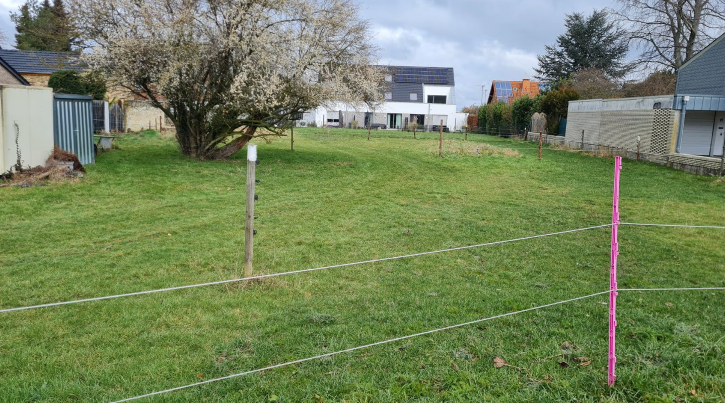 Bild 11