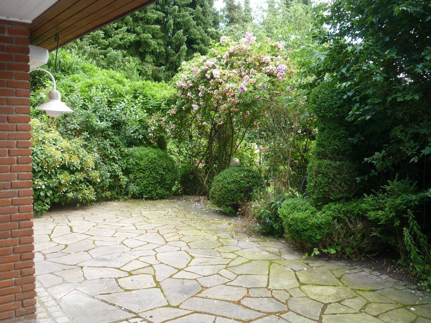 Bild 8