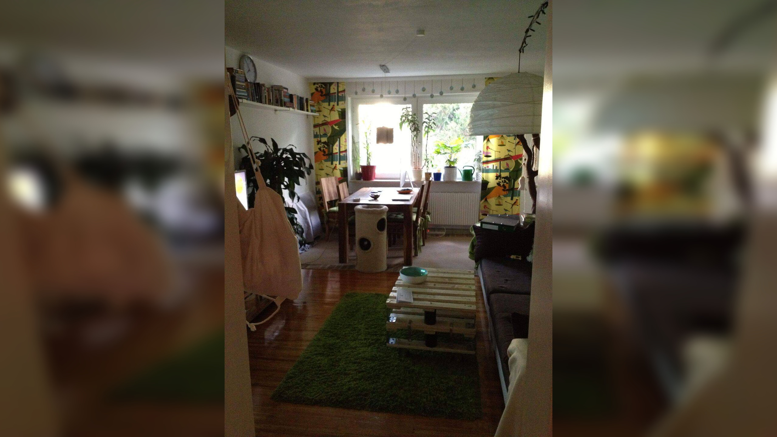 Bild 8