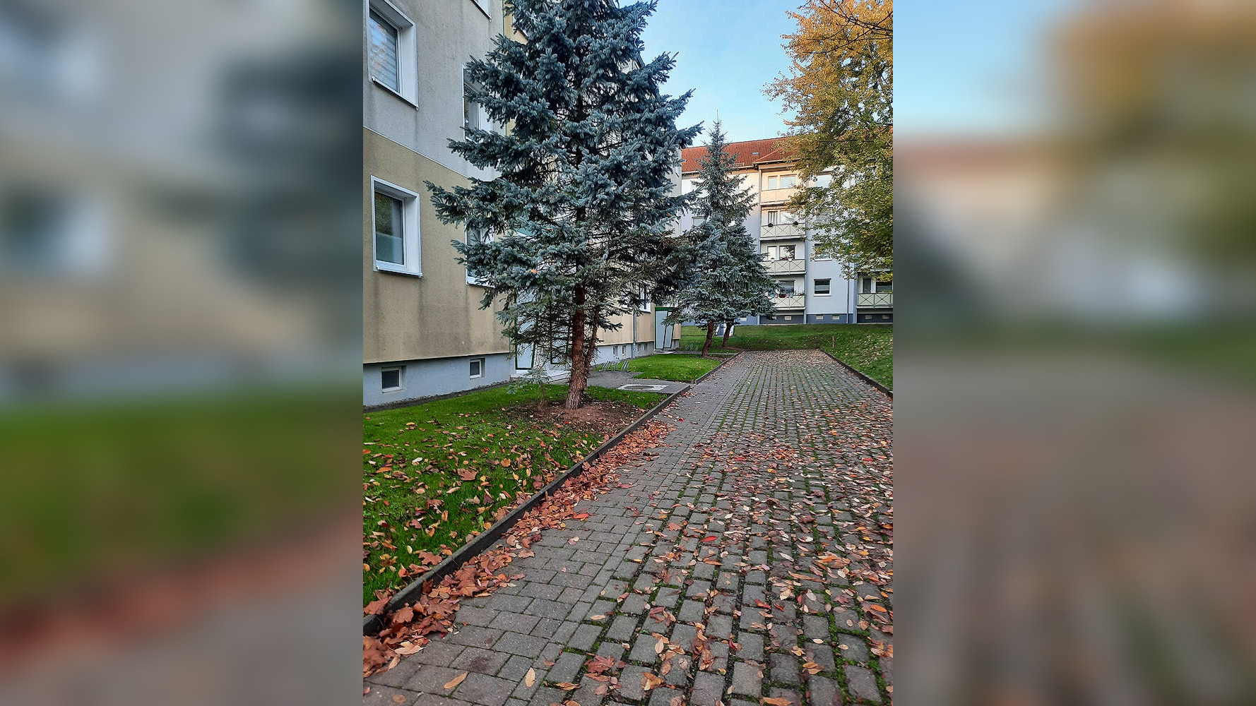 Bild 11