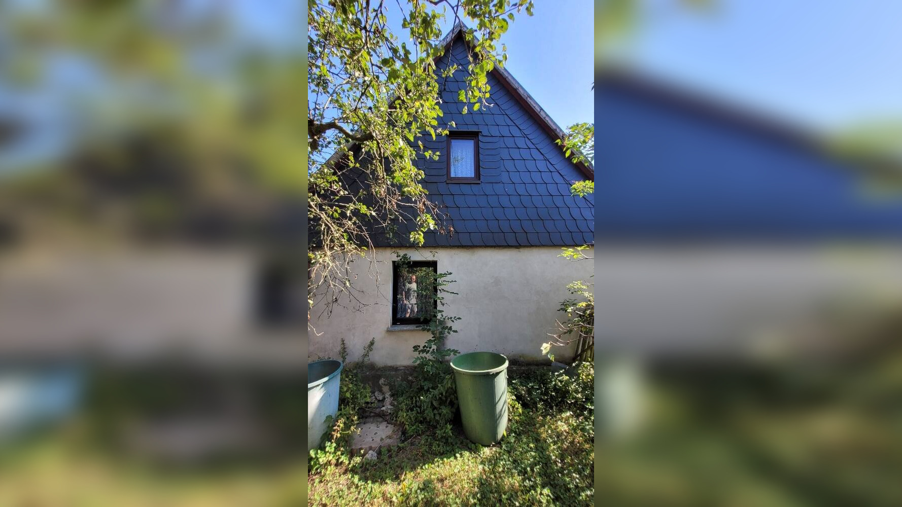 Bild 11