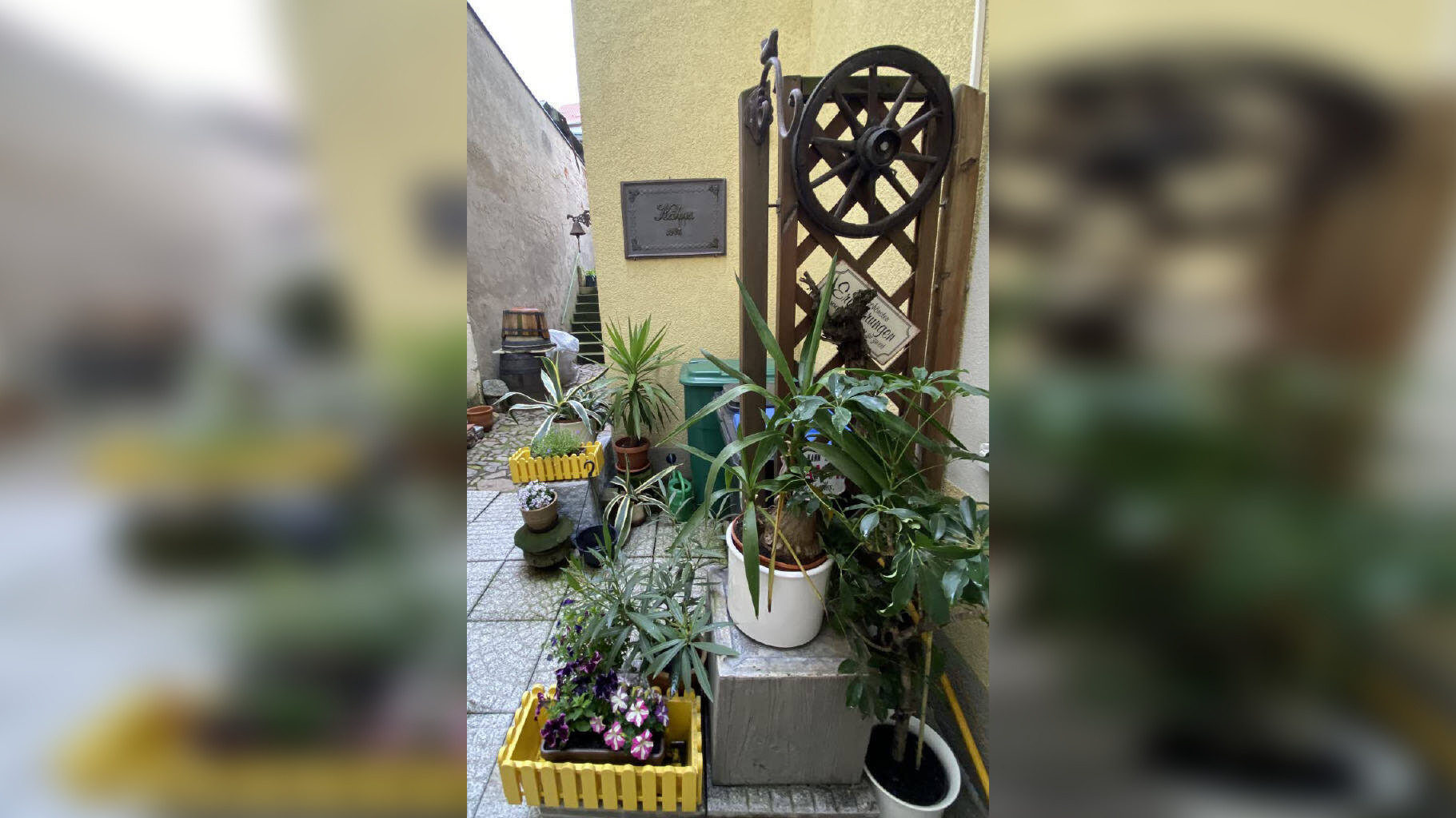 Bild 12