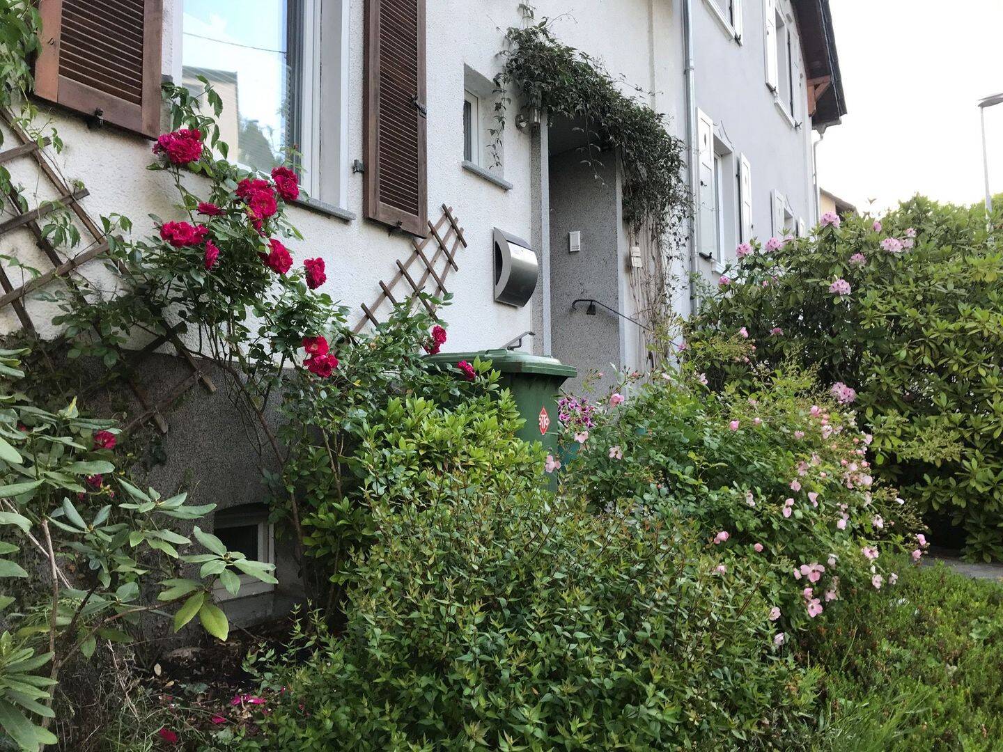 Bild 11