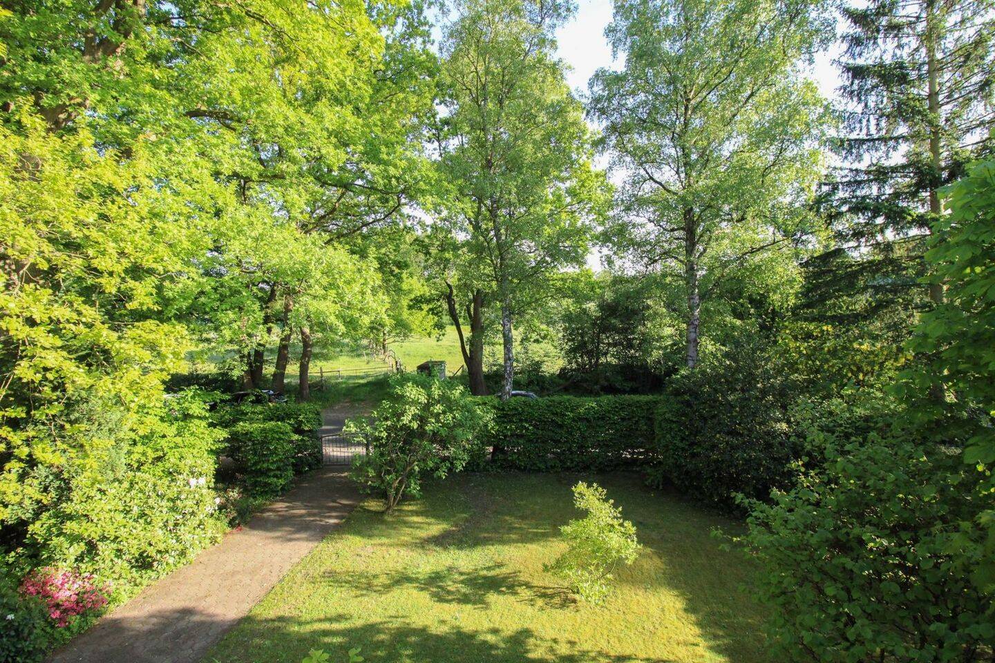 Bild 11