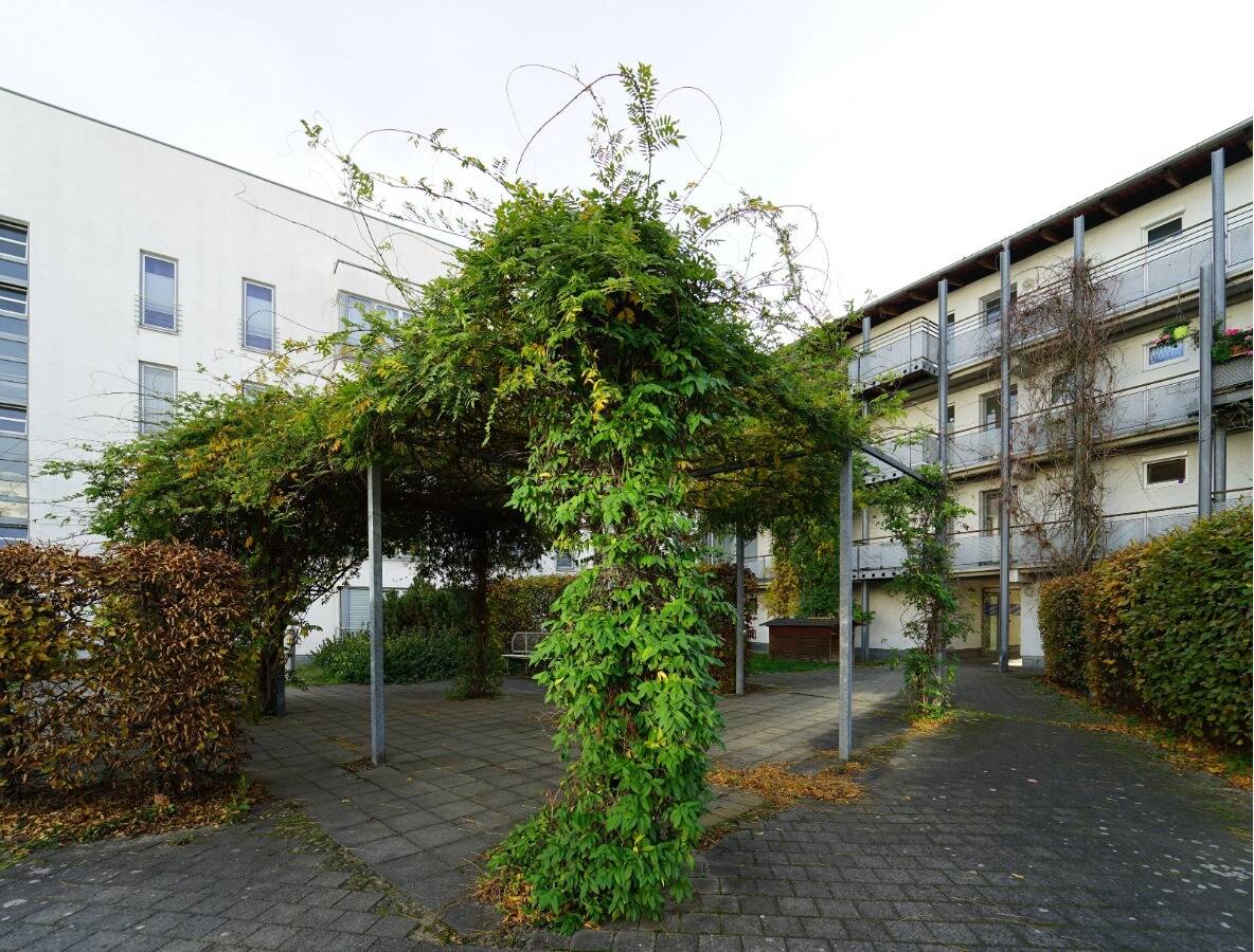 Bild 8