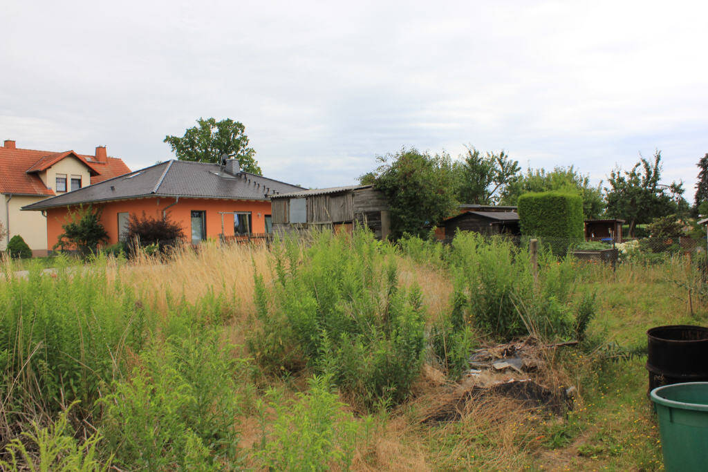 Bild 9