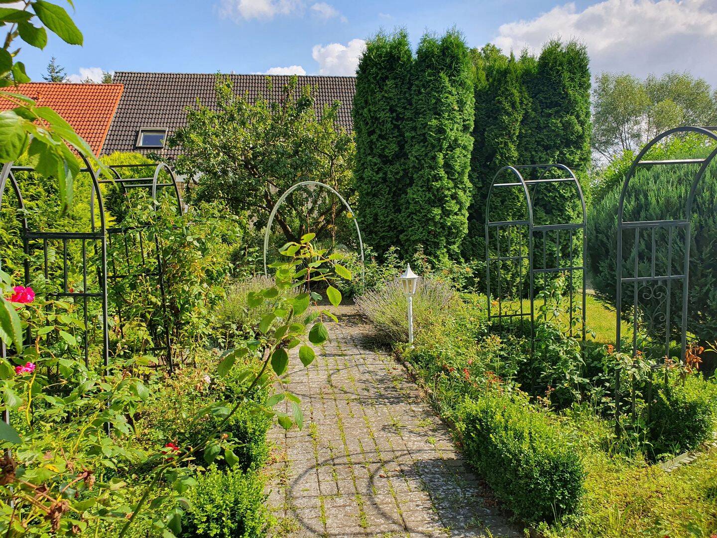 Bild 3