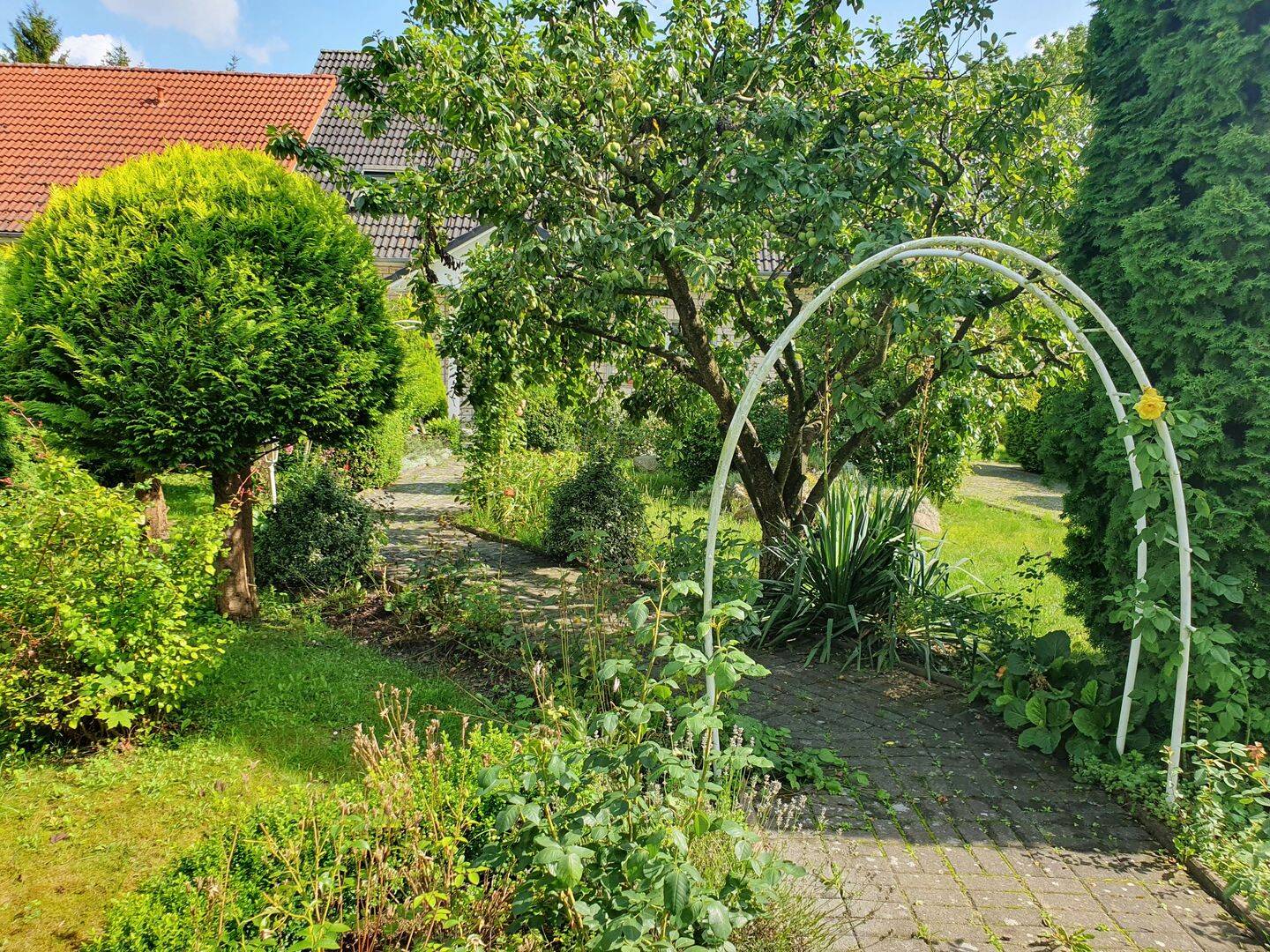 Bild 4