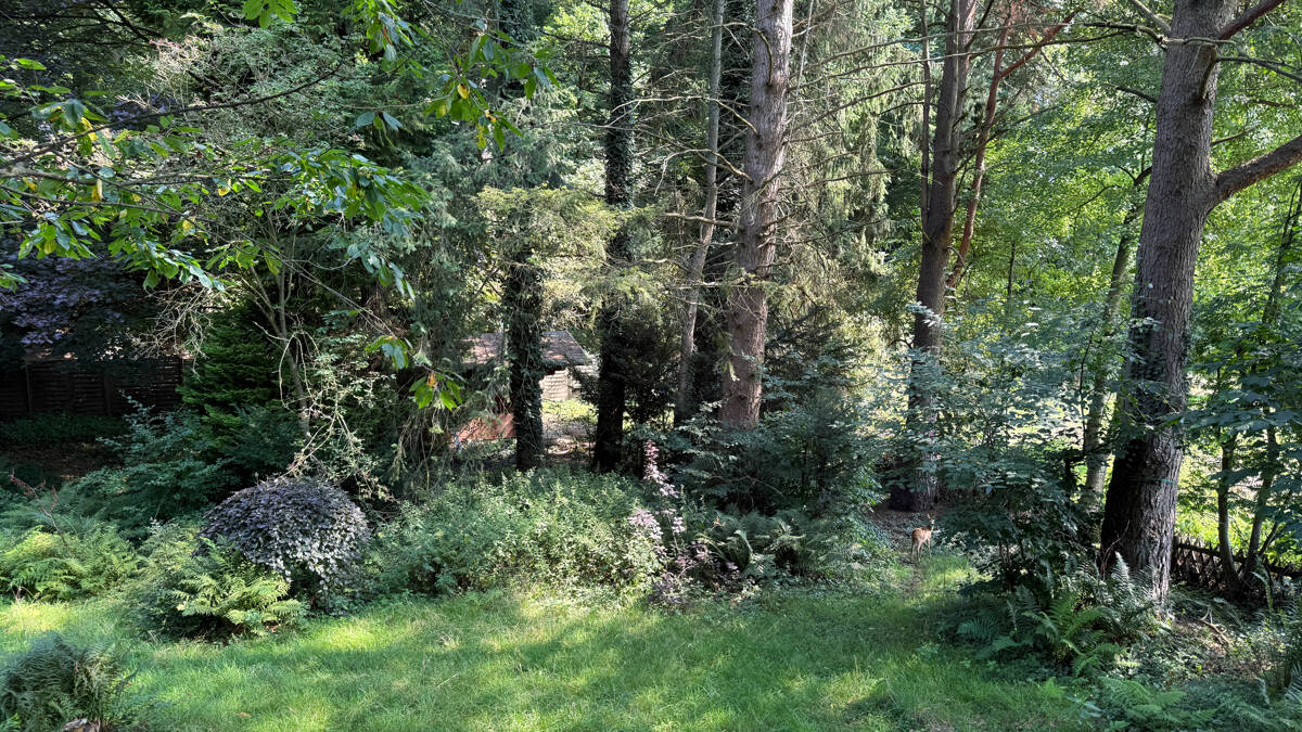 Bild 9