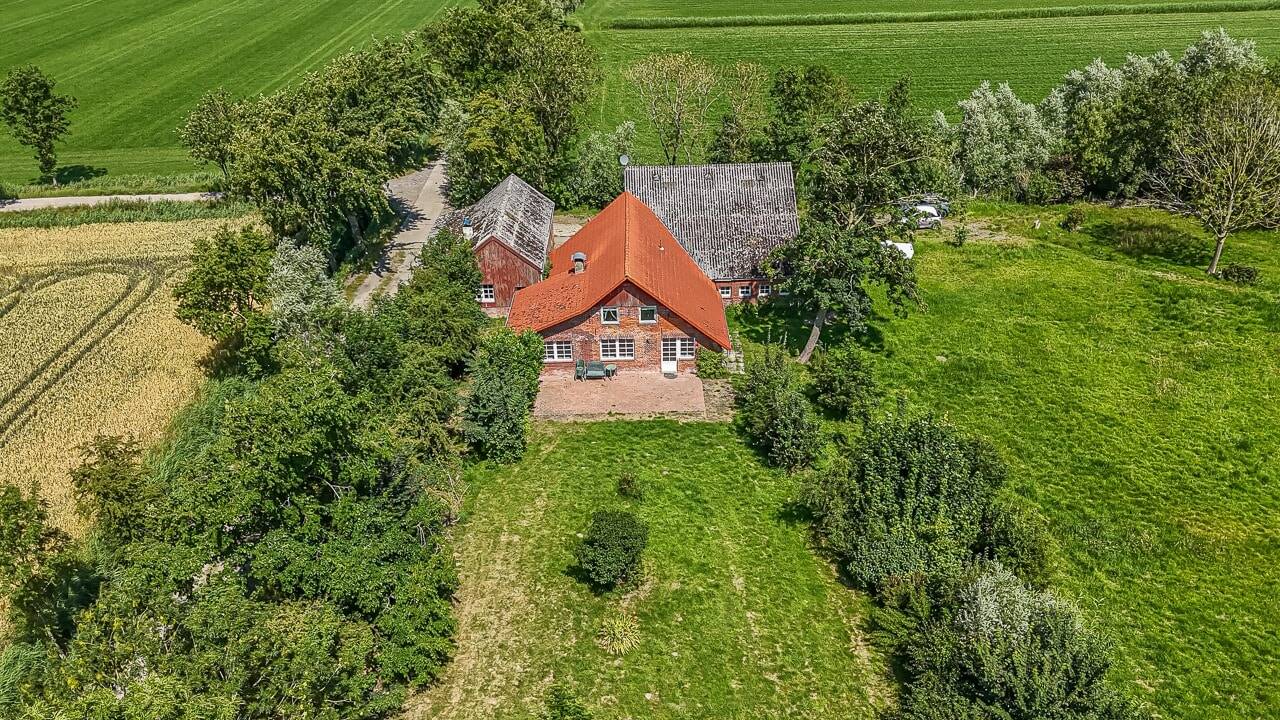 Bild 15