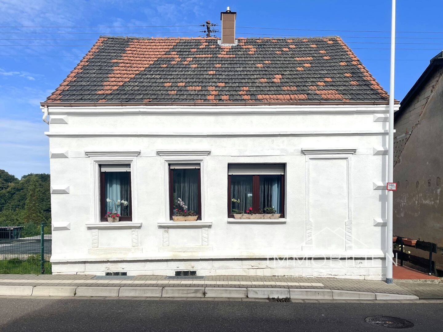Bild 7