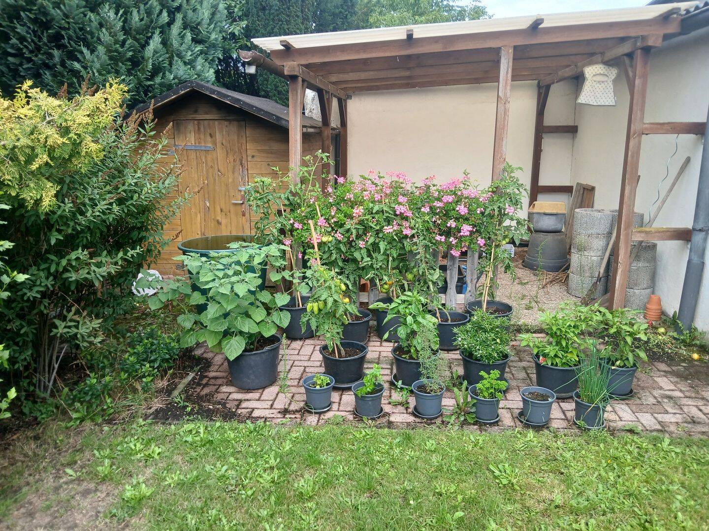 Bild 5