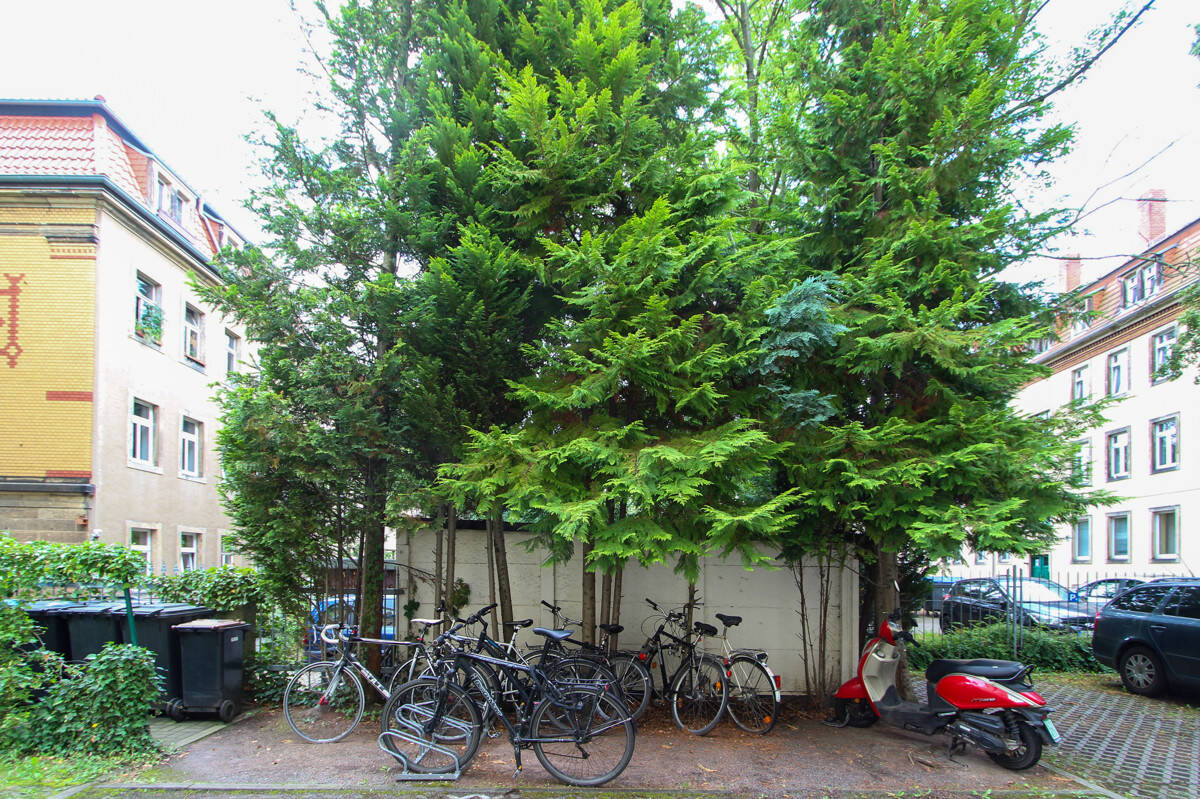 Bild 7