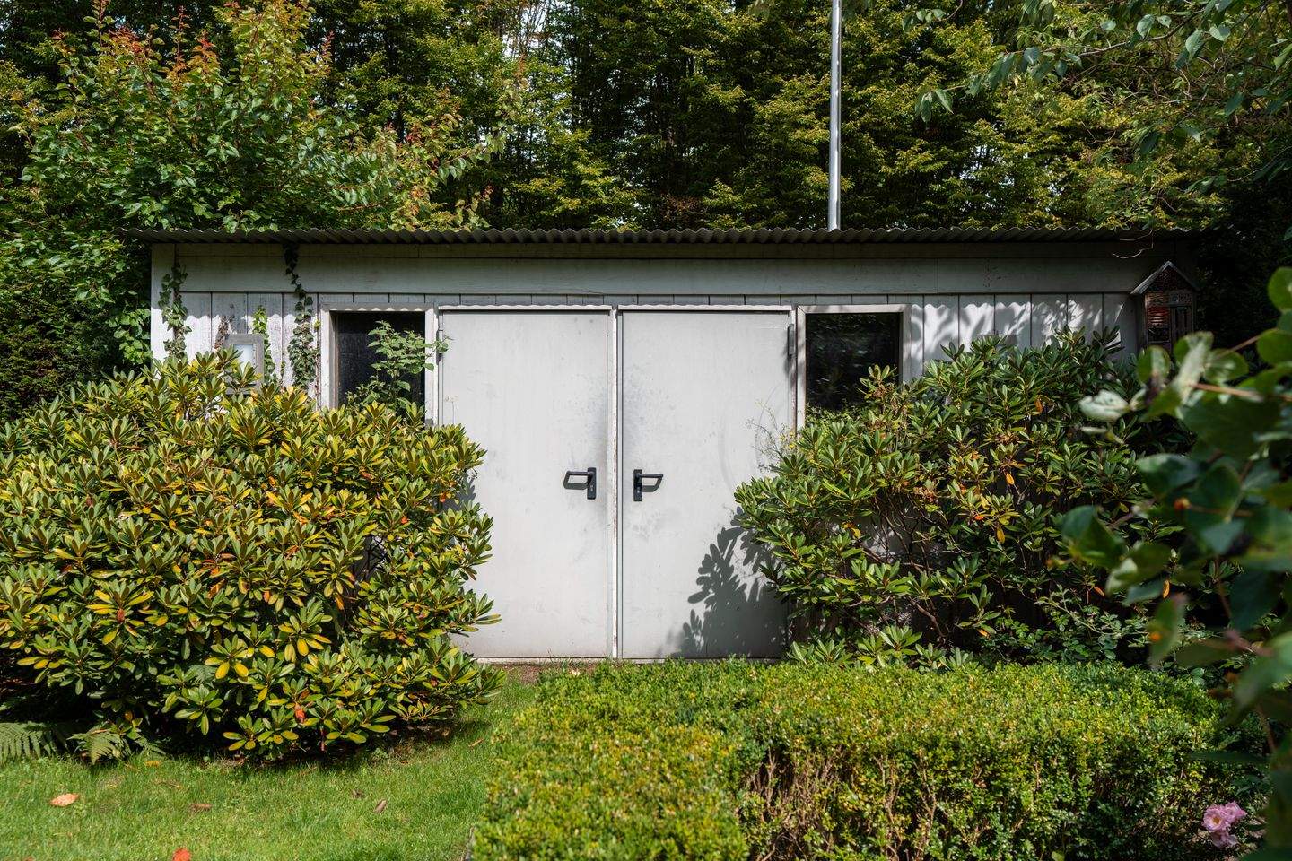 Bild 12
