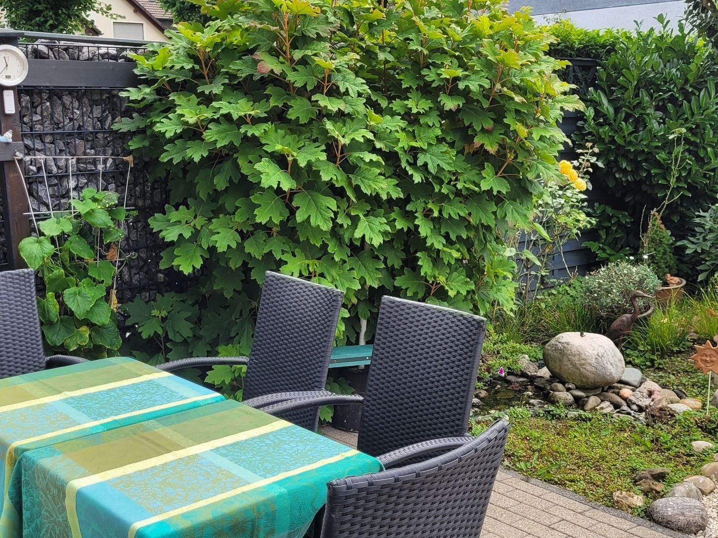 Bild 6